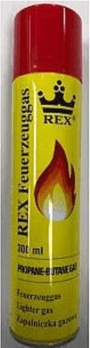 Hofftech Universeel Aanstekergas Propaan - Butaan Gas - 300 Ml - Image 11